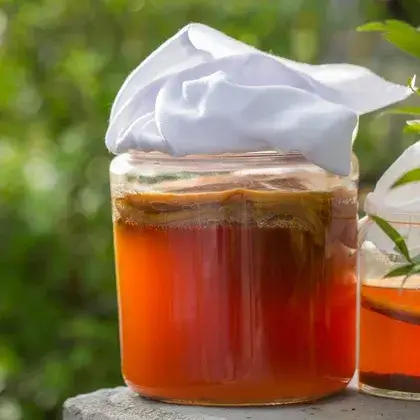 #2. Чайный гриб