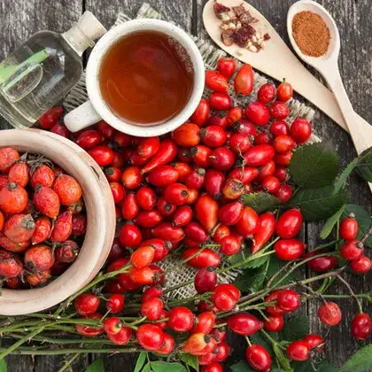 #5. Шиповник